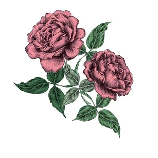 ซิลพิน กุหลาบจุฬาลงกรณ์ - SILPIN : CHULALONGKORN ROSE SYRUP