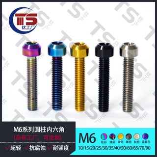 Ts สกรูไทเทเนียมอัลลอย ทรงกระบอก สกรูหัวท็อกซ์ M6X10 15 20 25 30 35 40 45 50 55 60 มม. TC4 M6 Nmax155 สําหรับรถจักรยานยนต์