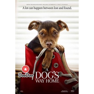 หนัง DVD A Dogs Way Home (2019) เพื่อนรักผจญภัยสี่ร้อยไมล์