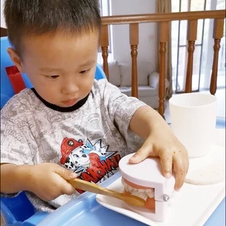 Montessori อุปกรณ์แปรงฟัน ของเล่นเสริมการเรียนรู้ สําหรับเด็ก