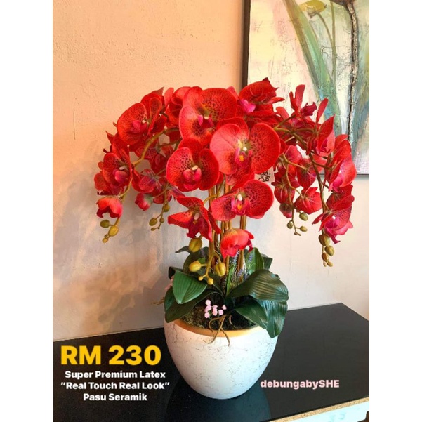 Orkid Gubahan ซุปเปอร์พรีเมี่ยม น้ํายาง