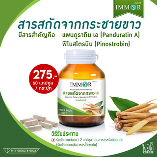 Y11036 อิมมอร์ สารสกัดจากกระชาย ขนาด 60 แคปซูล IMMOR Finger Root Extract Capsule Dietary Supplement Product