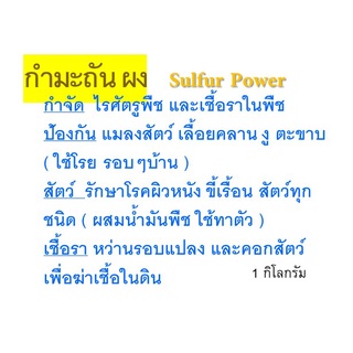 กำมะถันผง ผงกำมะถัน เหลือง ผงเหลือง สูตรพิเศษไล่งู ไล่สัตว์ ไล่แมลงคลาน ใช้กับพืช ไร เชื้อรา ใช้กับสัตว์ขี้เรื้อน