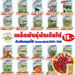 เมล็ดอวบอ้วน100%，ไทยในสต็อกพร้อมส่ง[10แถม2] เจียไต๋ เมล็ดพันธุ์ผัก พริกจินดาแดง Hot pepper Bird Eye Chilli ประมาณ 100 เม