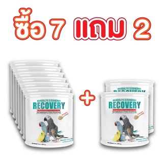 (ซื้อ 7 แถม 2) Randolph Birdnergy Recovery อาหารฟืนฟูสำหรับนกป่วย