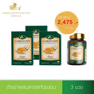 [3 ขวด ราคาพิเศษ] PHYTO GOLD ถั่งเช่าผสมสารสกัดชะเอม  (60 แคปซูล/ขวด)