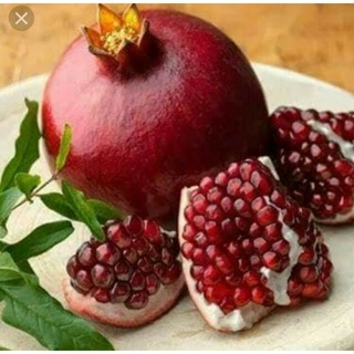 20 เมล็ด เมล็ดทับทิม (Pomegranate) สายพันธุ์ แดงอินเดีย  Pomegranate seeds