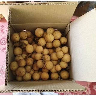 ลองกอง ออแกนิค ปลอดสาร เก็บสดจากสวน ส่งตรงจากยะลา 1กิโลกรัม