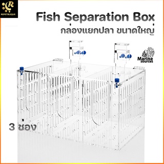 Marine Source กล่องแยกปลา 3 ช่อง Fish Separation Box กล่องพักปลา กล่องอนุบาลปลา ปลาป่วย ปลาท้อง กล่องกักปลา FSB-3B