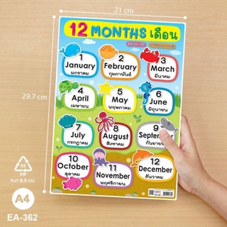 โปสเตอร์คำศัพท์ 7 Days ขนาด A4 EA-361โปสเตอร์คำศัพท์ 12 Months 12 เดือนขนาด A4 EA-362