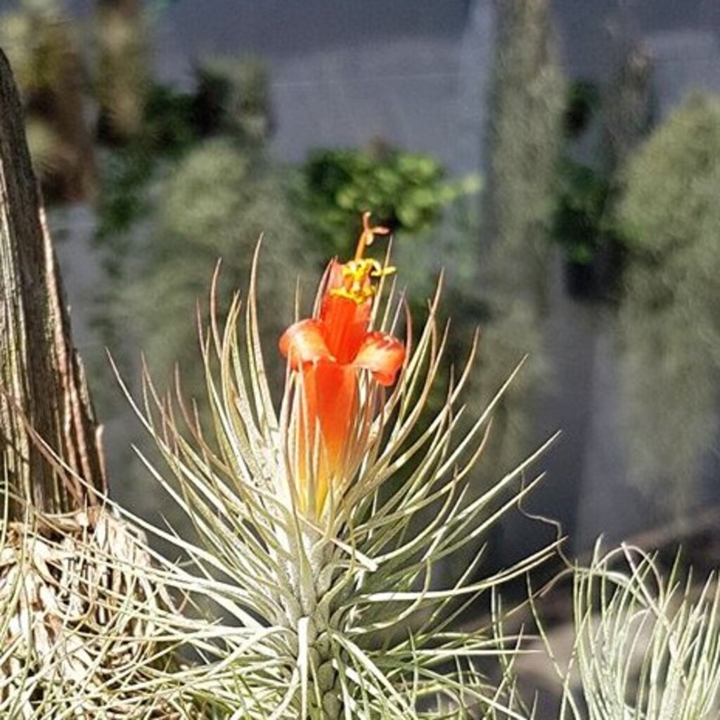 มุมมอง 3