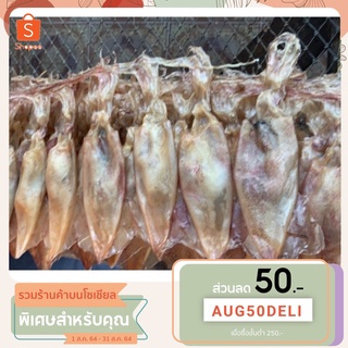 หมึกแพไข่ใหญ่ตื้นหมึกใหม่ สินค้าพร้อมส่ง