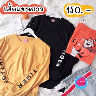 เสื้อแขนยาว  สกรีนแขน-หลัง