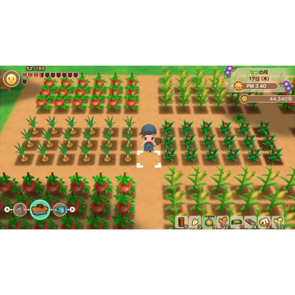 Nintendo Switch : Story of Seasons Friends of Mineral Town [แผ่นแท้] [มือ1] [Season Friend]