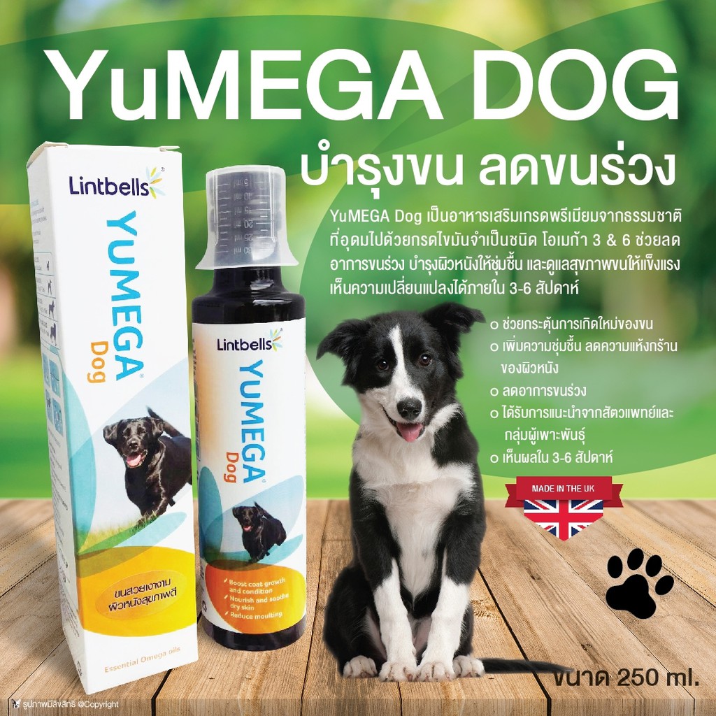 อาหารเสริมบำรุงขนสุนัข YuMEGA DOG บำรุงขนสุนัข ลดอาการขนร่วงในสุนัข เห็นผลใน 3-6 สัปดาห์ ขนาด 250 ml