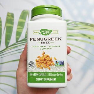 ฟีนูกรีก หรือลูกซัด Fenugreek Seed  610 mg 180 Vegetarian Capsules (Natures Way) เพิ่มน้ำนมให้คุณแม่ ควบคุมระดับน้ำตาล