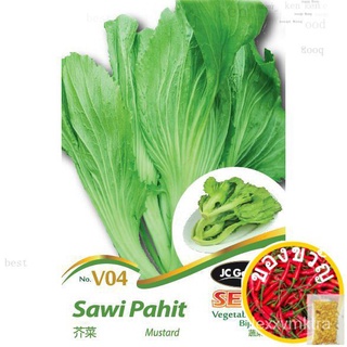 V04 Mustard Vegetables Seeds Biji Benih Sayur-sayuran Sawi Pahit มัสตาร์ด母婴/seeds/手链/芹菜/头饰/苹果/香菜/男装/种子/裙子/ H6IV