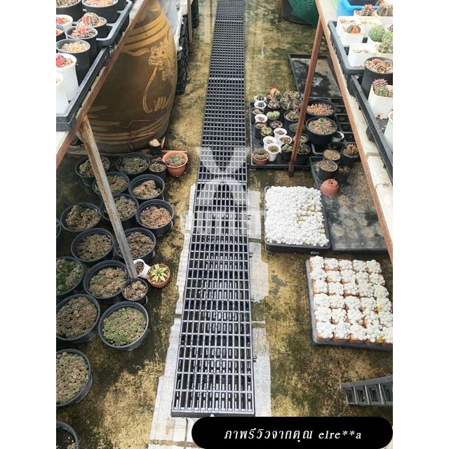 รูปภาพ 4