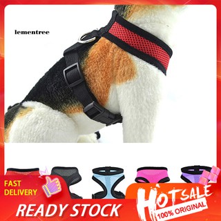 ❂RX❂Dog Puppy Walk Collar Soft Mesh Safety Strap Vest Adjustable Pet Control Harness