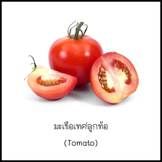 เมล็ดมะเขือเทศลูกท้อ (Tomato) 50 เมล็ด [10 แถม 1 คละได้]