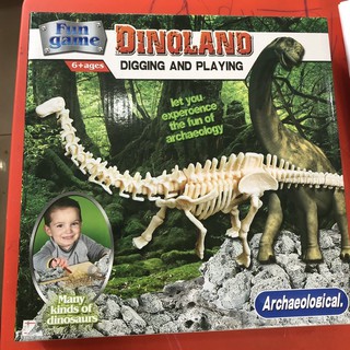 ชุดขุดไดโนเสาร์ฟอสซิล digging dinosaur ฟอสซิล ไดโนเสาร์ ขุดฟอสซิล อุปกรณ์ครบ ขุดไดโนเสาร์เด็ก