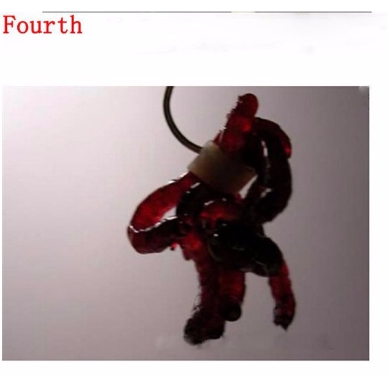 Thumbnail 7