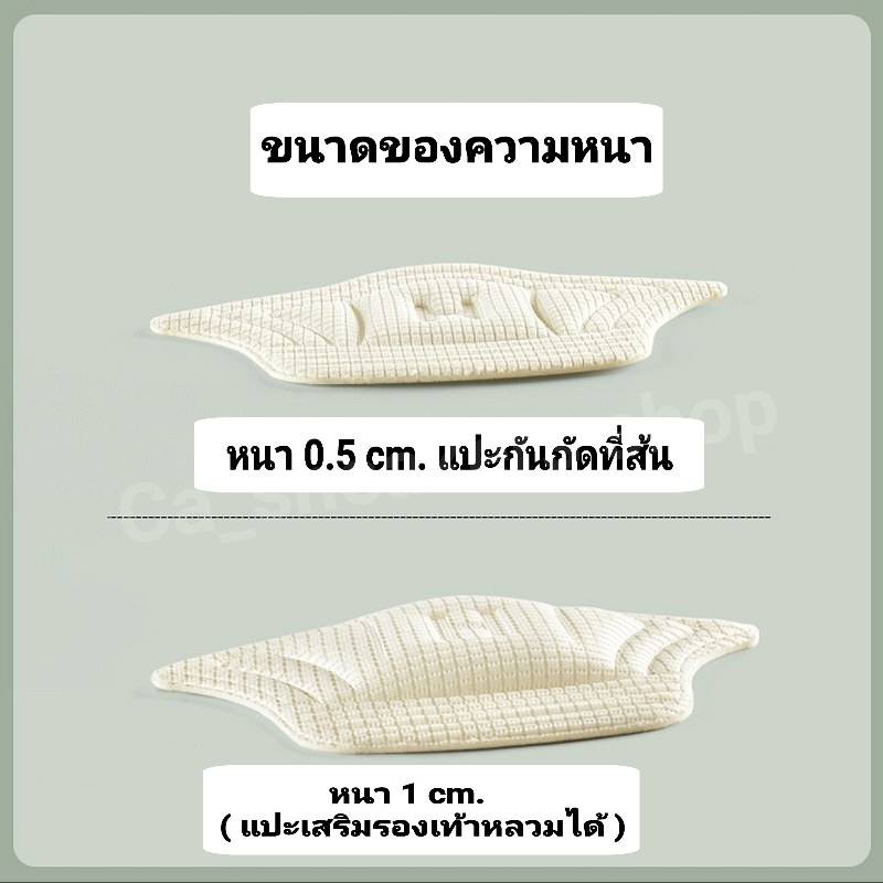 รูปภาพ 8