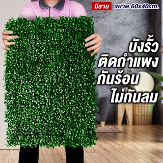 SF กำแพงหญ้าเทียม สีเขียว หญ้าเทียมมิลาน ขนาด 40 x 60 cm. กำแพงสวนรั้วต้นไม้เทียมหญ้าติดผนัง ติดระแนง กันแดดกันฝน