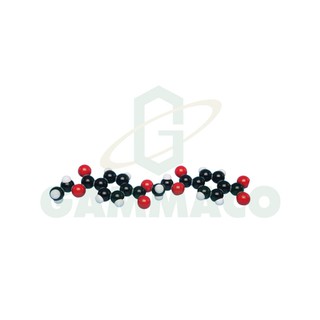แบบจำลองโมเลกุล Terylene (Polyester) [30MKS1102]