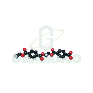 แบบจำลองโมเลกุล Terylene (Polyester) [30MKS1102]