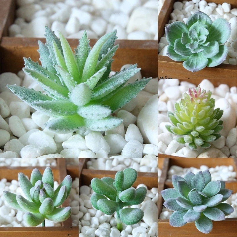 พืชอวบน้ําประดิษฐ์ พืชอวบน้ําสีเขียว / พืชสีเขียว จัดดอกไม้ DIY พืช / กระบองเพชรปลอม ดอกไม้ปลอม เดสก์ท็อป ภูมิทัศน์ เทศกาล งานแต่งงาน ปาร์ตี้ บ้าน สวน ตกแต่ง
