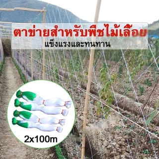 ตาข่ายปลูกพืชผัก โครงไม้เลื้อย ค้างปลูกผัก อวนปลูกผัก ตาข่ายอวน ค้างแตง ไม้เลื้อย ตาข่ายเอ็น สูง 2 เมตร x ยาว 100 เมตร