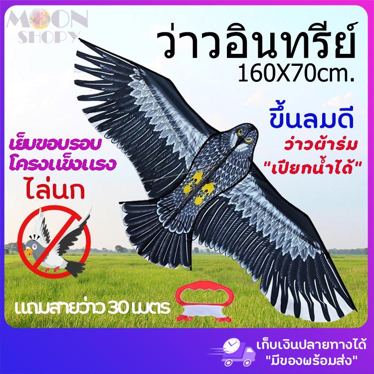ว่าวอินทรีย์ไล่นก! 1.60 เมตร ผ้าร่มกันเปียก โครงแข็งแรง เย็บขอบรอบ !!สินค้ามีพร้อมส่ง!!เก็บเงินปลายทางได้จ้า แถมเชือก!