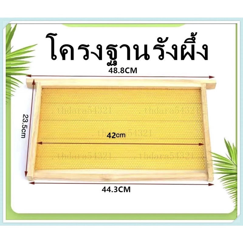 ผลิตภัณฑ์ผึ้งโครงฐานผึ้งโครงรังเฟอร์รังผึ้งกล่องผึ้งมาตรฐานสิบกรอบโครงผึ้ง ชุด1มี10โครง