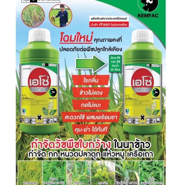 เอโซ่ 300 MCPA กก ลักเขียด หนวดปลาดุก หญ้าฆ่าหญ้า