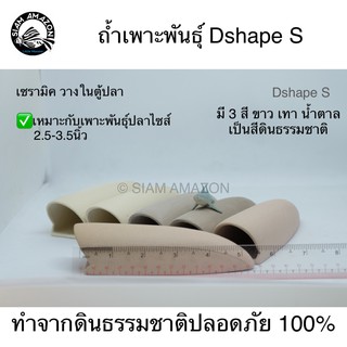 ถ้ำเพาะพันธุ์ Dshape S / Pleco Caves D shape size S #DS