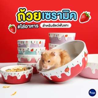 Royalty Pets ถ้วยเซรามิค ถ้วยอาหาร ชามอาหาร สำหรับสัตว์เลี้ยง แฮมสเตอร์ ชามหนู คุณภาพเกรดพรีเมี่ยม ชามอาหารสัตว์ฟันแท...