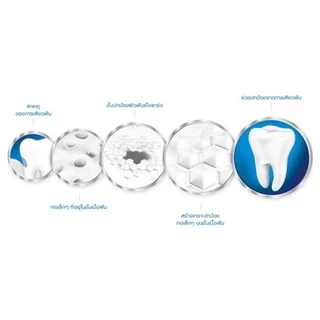 Sensodyne เซ็นโซดายน์ รีแพร์ & โพรเทคท์ ไวท์เทนนิ่ง /Rapid / sensitive 100 กรัม