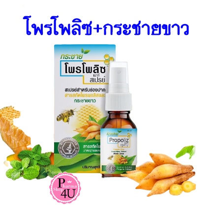 ของดีบอกต่อ✔ Propoliz Krachaikao Mouth Spray โพรโพลิซ สเปรย์พ่นคอผสมกระชายขาว 15 ml  #9216