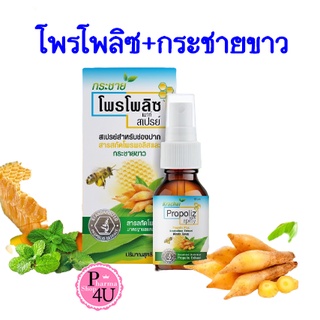 Propoliz Krachaikao Mouth Spray โพรโพลิซ สเปรย์พ่นคอผสมกระชายขาว 15 ml ล็อตใหม่ล่าสุด #9216