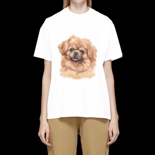 เสื้อลายหมา DTS001 tibetan spaniel เสื้อยืด เสื้อยืดลายหมา เสื้อยืดสกรีนลายหมา