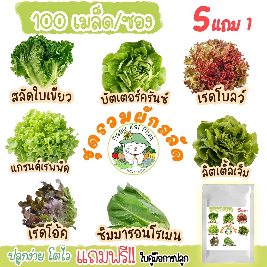 เมล็ดผักสลัด  ชุดผักสลัด 100 เมล็ด ปลูกง่ายไม่กลายพันธุ์  สลัดใบเขียว, บัตเตอร์คลั้น, สลัดกรีนโอ๊ค,