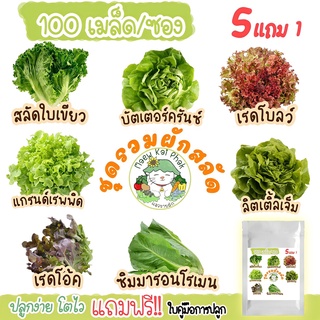 เมล็ดผักสลัด  ชุดผักสลัด 100 เมล็ด ปลูกง่ายไม่กลายพันธุ์  สลัดใบเขียว, บัตเตอร์คลั้น, สลัดกรีนโอ๊ค, เรดโบลว์, แกรนด์เรฟพิด,ปารีสไอแลนด์คอส, โลล่ารอสซ่า, สลัดคละชนิด เมล็ดพันธุ์