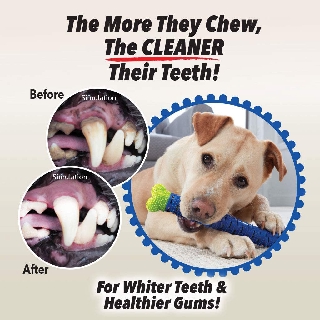 แปรงสีฟันสุนัขอัจฉริยะ แปรงน้องหมา Chewbrush 3 Way Pet Self-Brushing Toothbrush  ปราศจาก BPA และ Phthalate