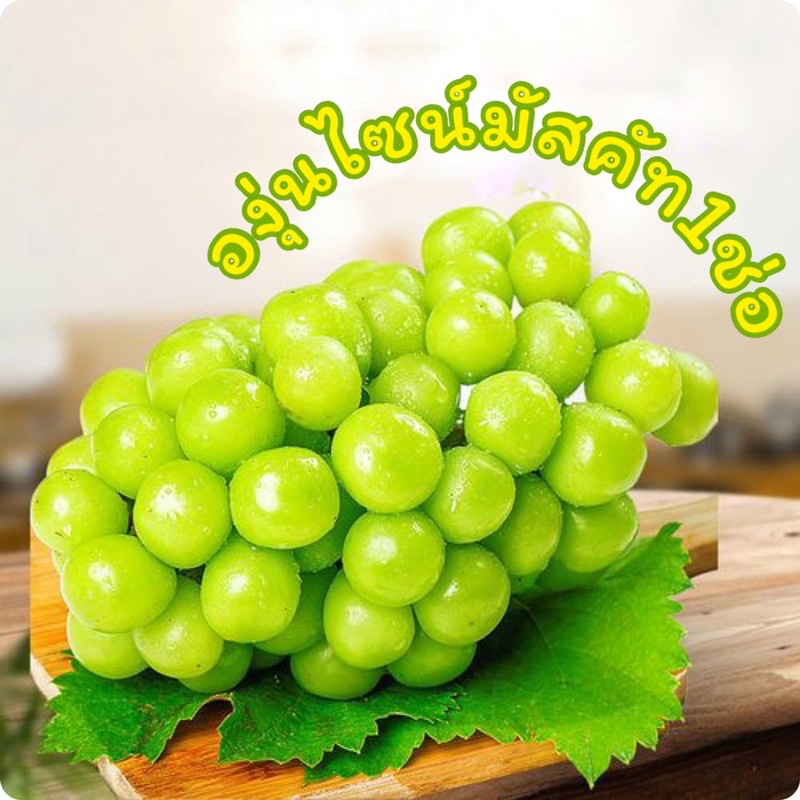 พร้อมส่ง‼️องุ่นไซมัสคัท (500กรัม+) สายพันธุ์ญี่ปุ่น Shine Muscat องุ่นไซมัสคัส องุ่นไซมัสแคท
