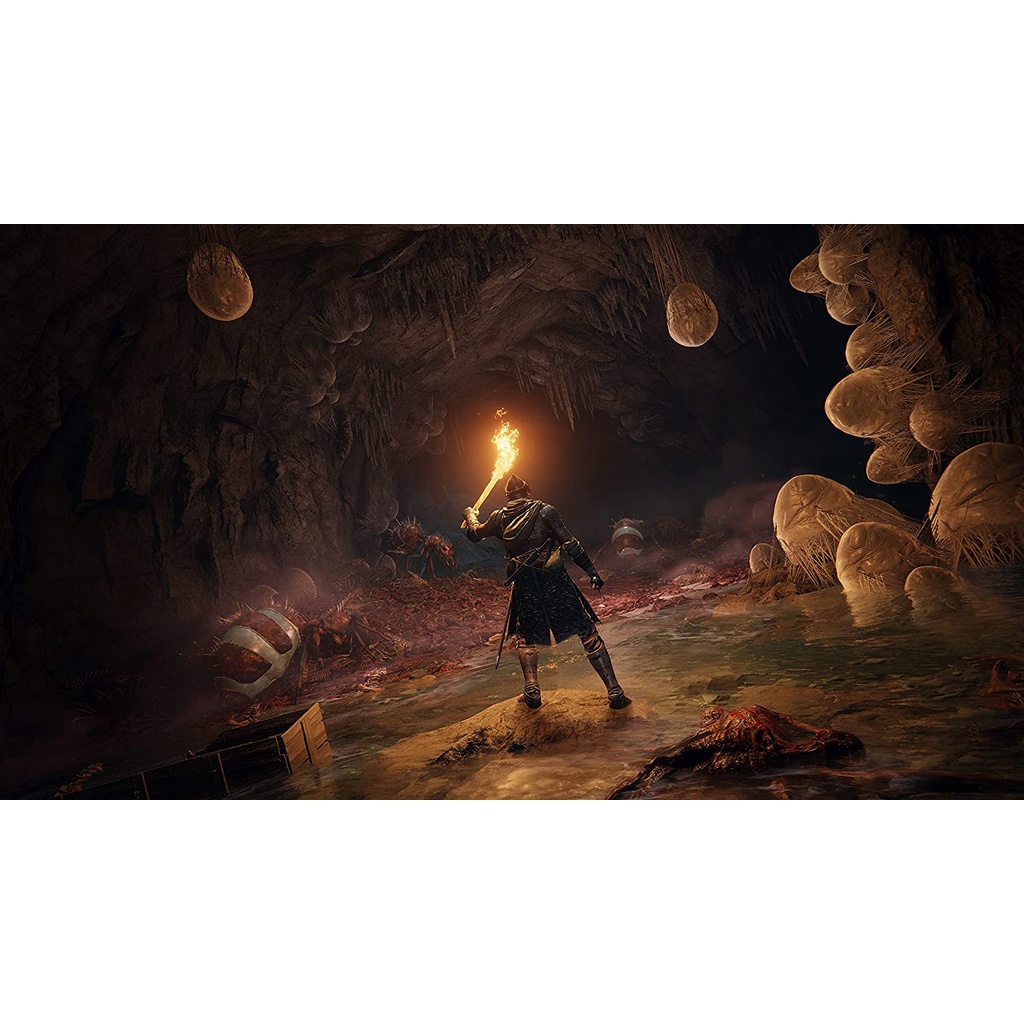 PS5 : Elden Ring [แผ่นแท้] [มือ1] [Eldenring] [Elder Ring]
