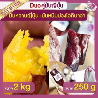 แพ็คคู่ถูกกว่า มันหวานญี่ปุ่น เบนิฮารุกะ 2kg + มันหนึบ 250g  มันหวานญี่ปุ่นนำเข้า มันหนึบม่วง โอกินาว่า