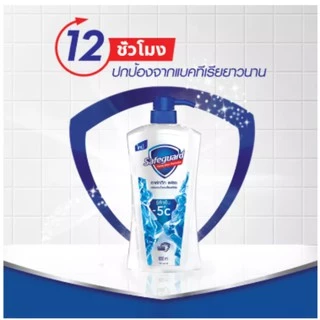 SafeGuard เซฟการ์ด บอดี้ วอช อาร์กติก เฟรช 650 มล Arctic Fresh Antibacterial Bodywash 650 ml