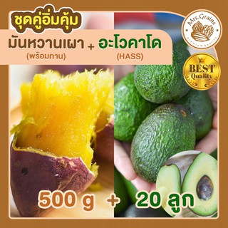 มันหวาน 500g มันหวานญี่ปุ่นเผาพร้อมทาน+ อะโวคาโด 20 ลูก มันหวานญี่ปุ่นนำเข้า มันญี่ปุ่น เบนิฮารุกะ อะโวคาโดสด อะโวคาโด้