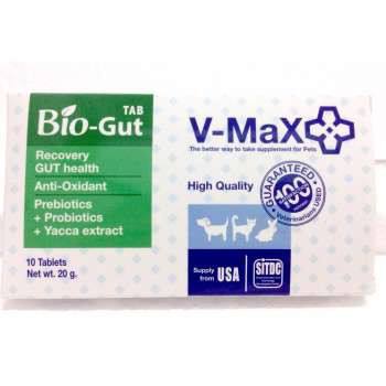 V-max Bio Gut อาหารเสริมช่วยระบบทางเดินอาหาร ช่วยแก้ปัญหาท้องเสีย บรรจุ 10 เม็ด V max biogut